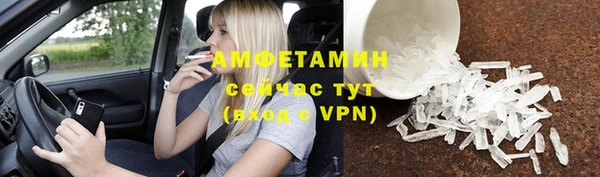 индика Волосово