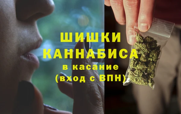 apvp Вяземский