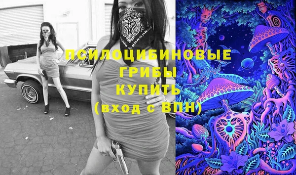 ПСИЛОЦИБИНОВЫЕ ГРИБЫ Волоколамск
