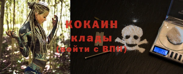 apvp Вяземский