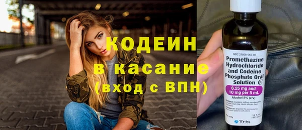 apvp Вяземский
