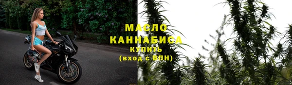 apvp Вяземский