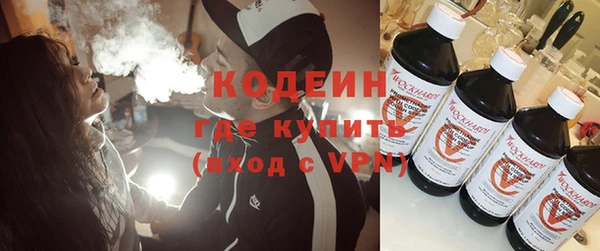 индика Волосово