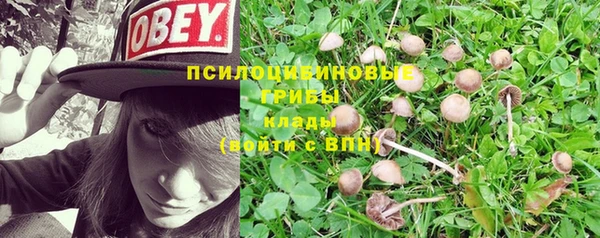 индика Волосово